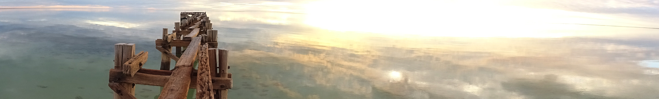 Nedilaka Lazarov Clinical Psychologist