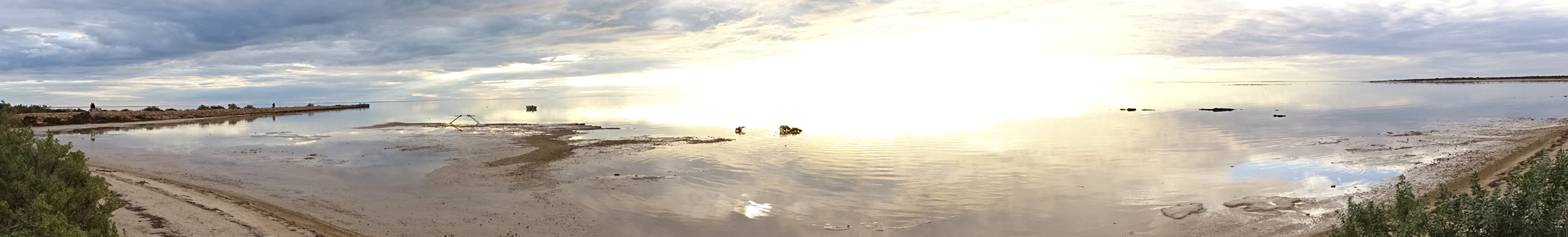 Nedilaka Lazarov Clinical Psychologist